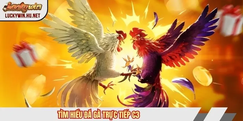 Tìm hiểu đá gà trực tiếp c3